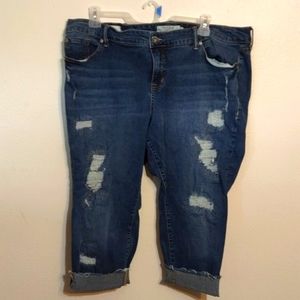 Torrid boyfriend cut capris